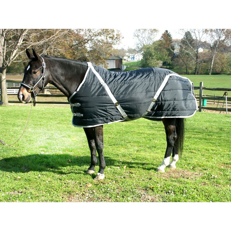 Snuggie Quilted Pony Stable Blanket 68In Black/Sil -  INTREPID INTERNATIONAL, SR68B
