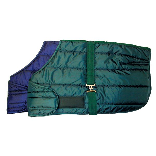 Snuggie Quilted Foal Adjustable Stable Blanket Hun -  INTREPID INTERNATIONAL, 158000GN