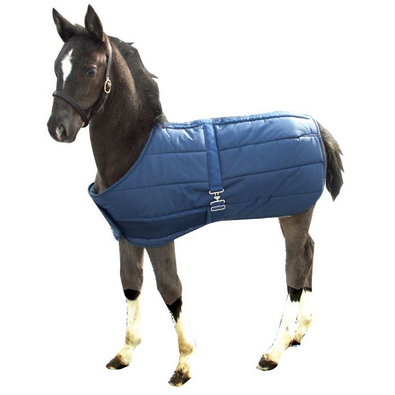 Snuggie Quilted Foal Adjustable Stable Blanket Nav -  INTREPID INTERNATIONAL, 158000NY
