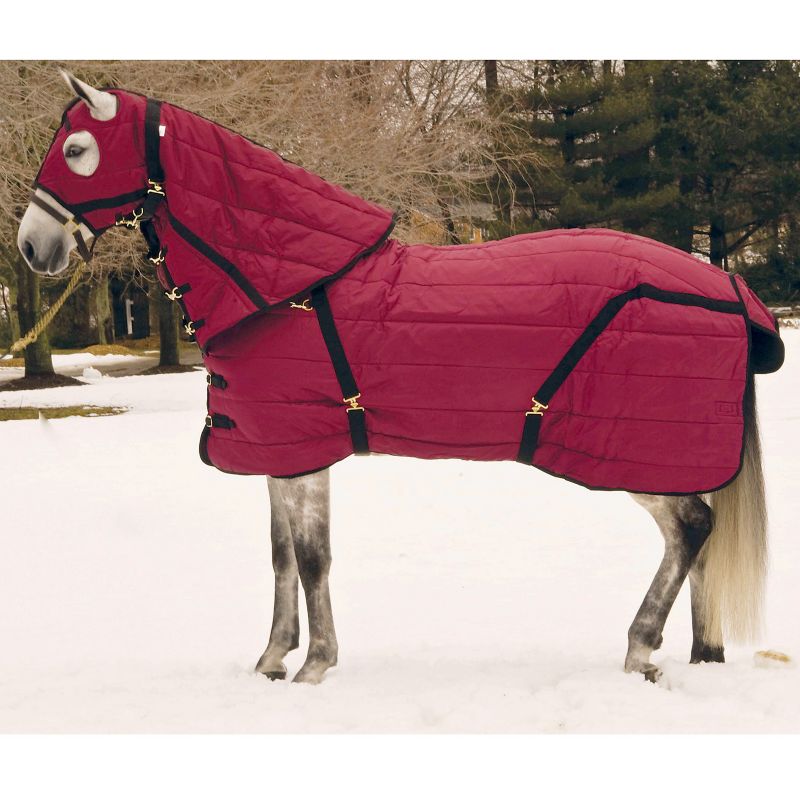 Snuggie Stable Hood Small Burgundy/Black -  INTREPID INTERNATIONAL, HDSMBG