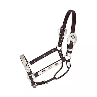 Western Brown leather Show halter