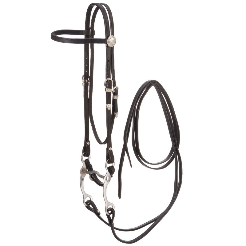 Royal King Basic Show Headstall Set Black