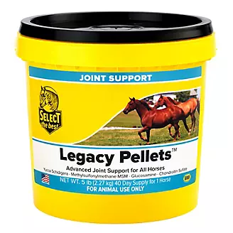 Horse Joint Supplements - AniMed, CORTA-FLX & More 