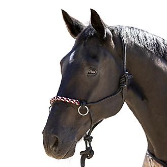 Kensington Side Pull Rope Training Halter with Double Filled Nylon Cord Citrus Slate Plaid Braided Nose 