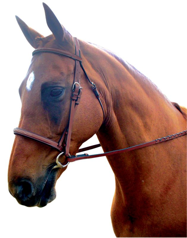 Kincade Padded Fancy Stitched Bridle Cob