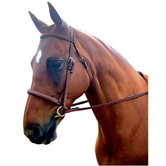 Kincade Padded Fancy Stitched Bridle