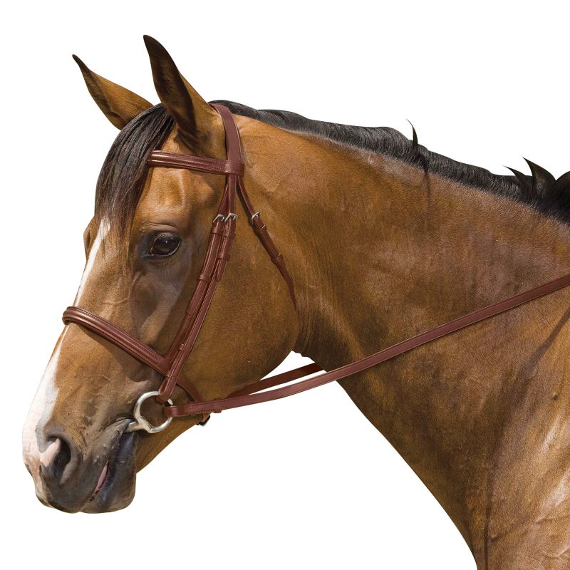 Kincade Padded Plain Raised Bridle Cob