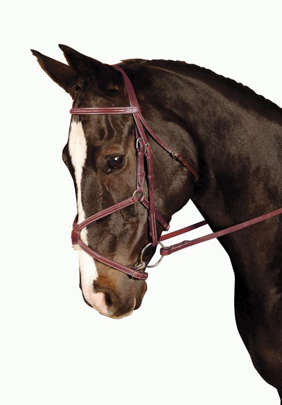 Kincade Figure Eight Bridle Full