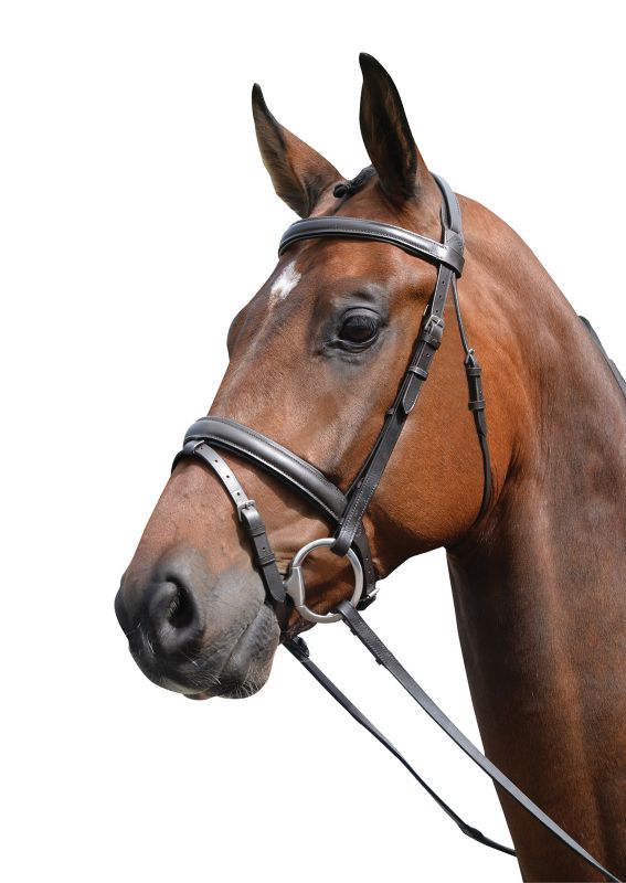 Kincade Flash Bridle Brown Warmblood