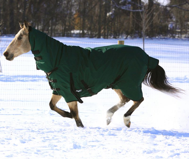 Breyer Horse Blanket + Neck Cover
