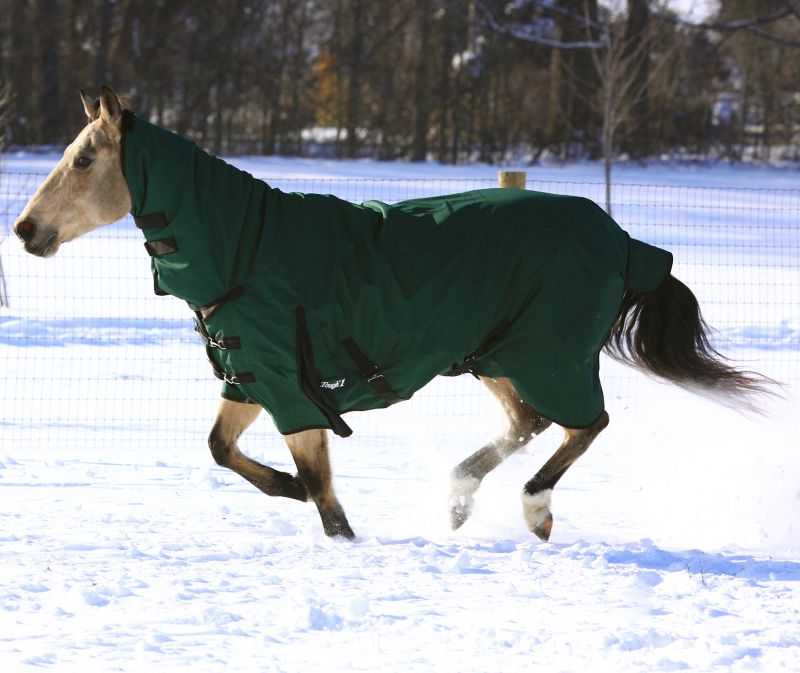 Understanding Horse Blankets 