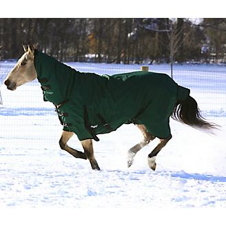 Winter Horse Turnout Blanket-Full Neck-1200D-Hunter Green-Size 69"-84"-300 Gram 