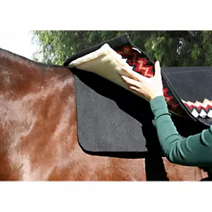 How To Get Horse Hair Out Of Saddle Pads
