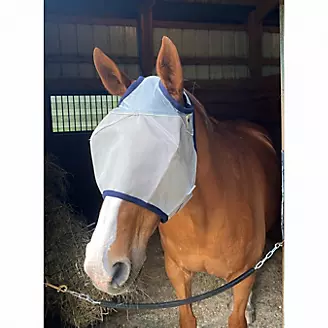 Defender Fly Mask with Reflective Trim