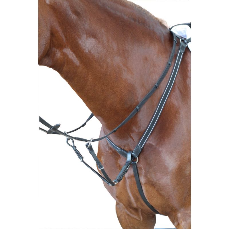 STEPHENS English Leather Elastic Hunting Breastplate & Running Martingale Brass 