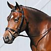 Tory Leather Deluxe Dressage Bridle