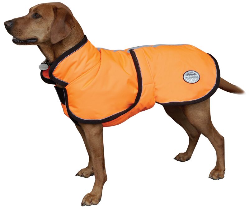 Horse style dog cheap coat