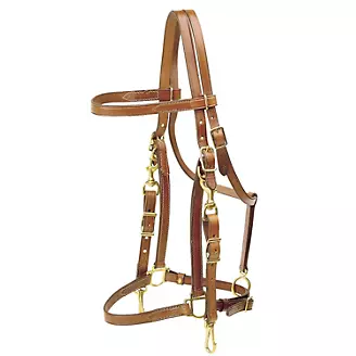 Harness Leather Tie Down Strap 5/8 inch wide with Brass Hardware