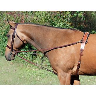 LEATHER with ELASTIC SIDE REINS horse Headset Collection Training Lunging 