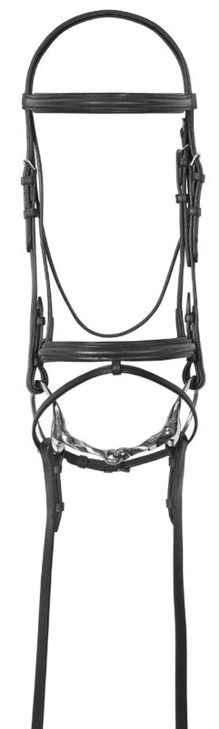 Camelot Lined  Bridle w/Flash Full Black