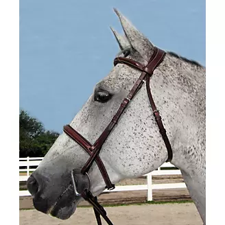 HDR Pro Stress Free Padded Bridle