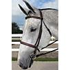 HDR Pro Stress Free Fancy Padded Bridle