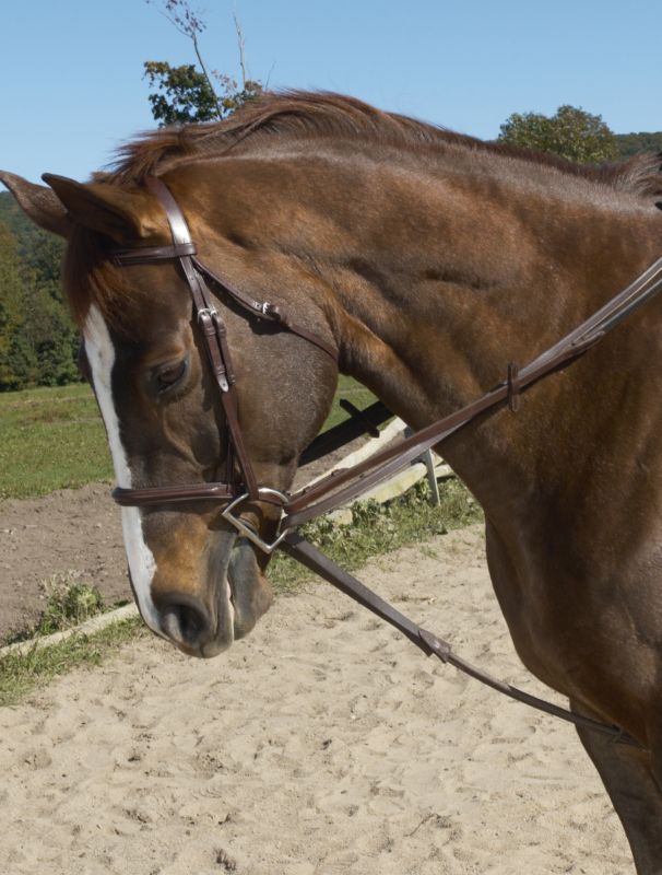 Ovation Stretch Cord Draw Reins