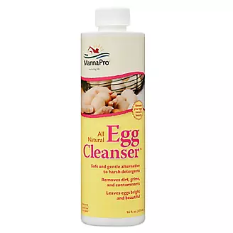 CareFree Enzymes Egg Cleanser