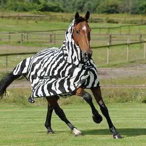 Bucas Zebra Fly Sheet WarehouseOutlet