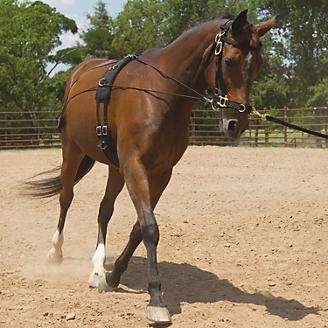 Lunge Training Aid Sliding Side-Reins Busse Leather & Cord Lauffer Reins 