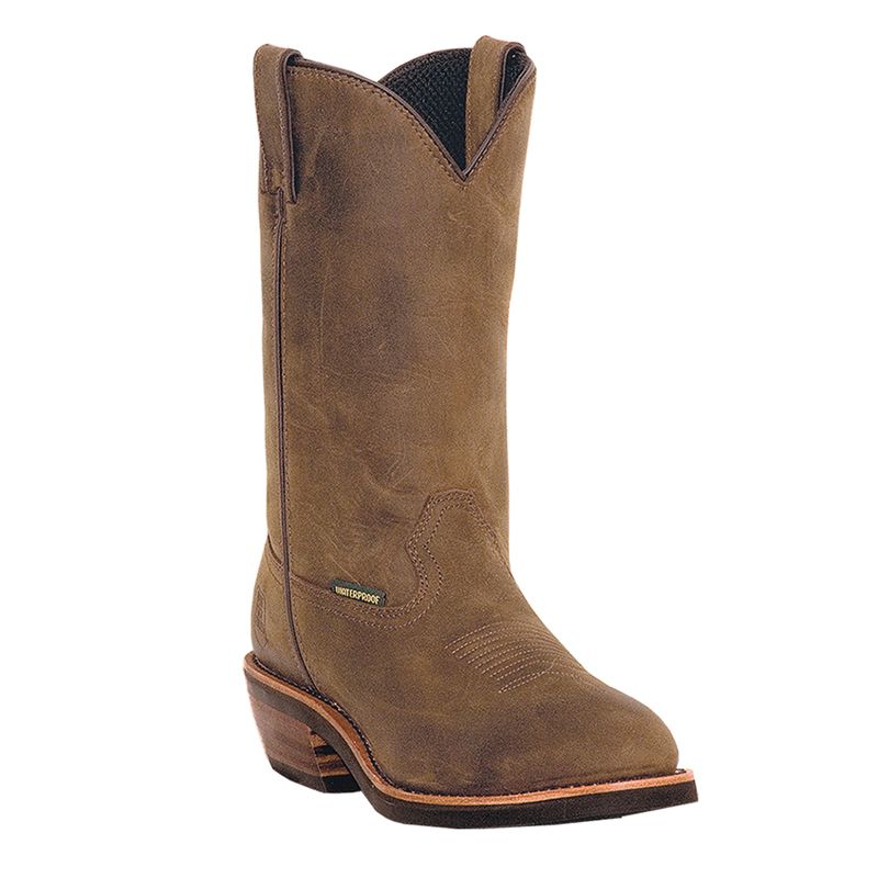 Dan Post Boots Albuquerque 12 Inch Waterproof Steel Toe Work Boots