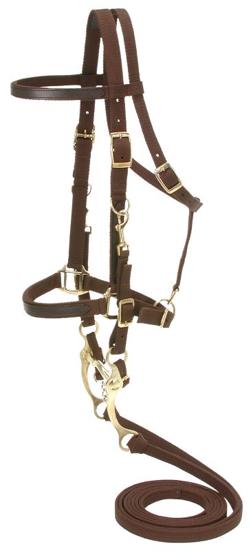 AO Collection Nylon Bridle/Halter Combination Brow