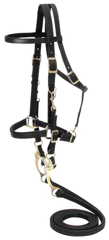 AO Collection Nylon Bridle/Halter Combination Blac