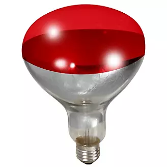 Brooder Red Heat Lamp Bulb