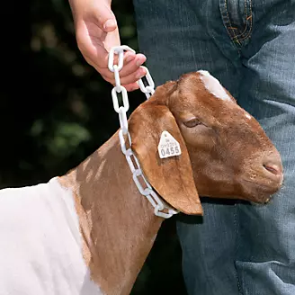 Weaver Plastic Goat Chains