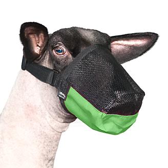 Deluxe Adjustable Goat and Sheep Muzzle