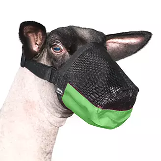 Weaver Deluxe Adj Goat/Sheep Muzzle