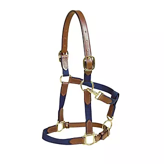 Tory Leather and Cotton Web Halter