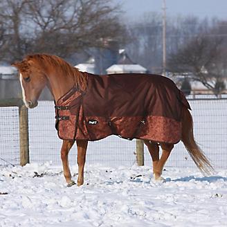 250 Grams 600D Sizes 69"to 84" BLACK Winter Horse Turnout Blanket 