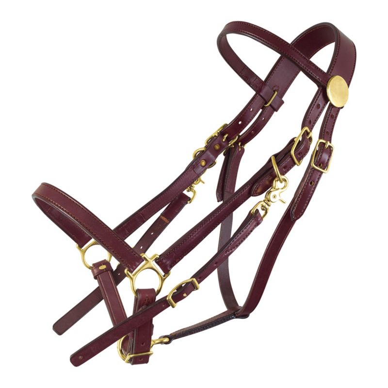 Tucker Halter Bridle Lite w/Chrome Horse Brown