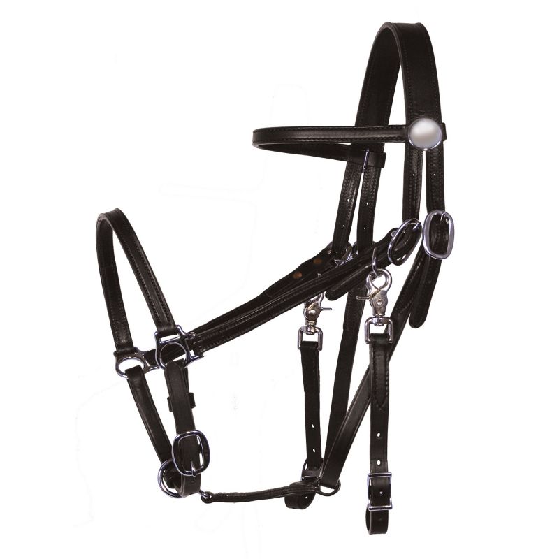 Tucker Halter Bridle Lite w/Chrome Horse Black