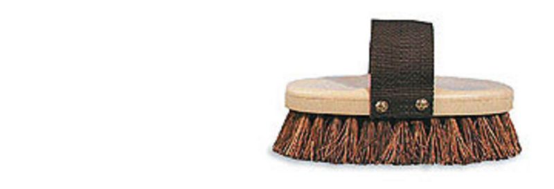 Gripfit Palmyra Brush 7 5 8 Inch - 90