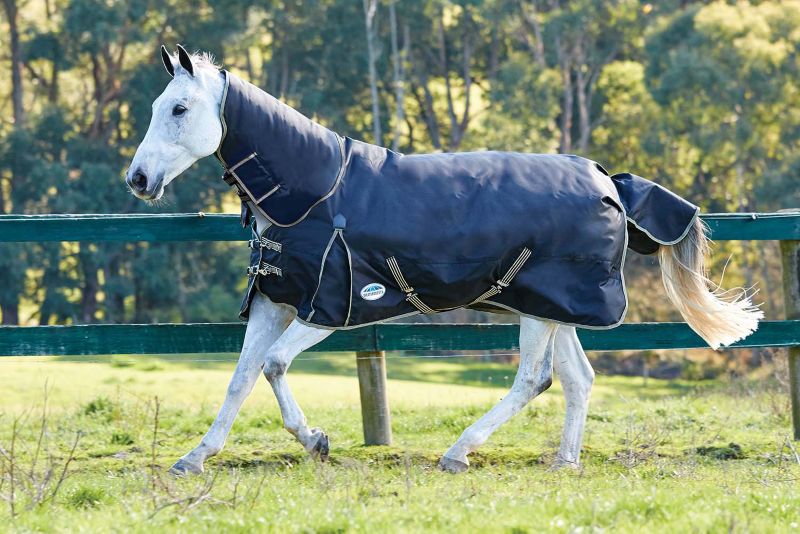 WB Original 1680 Detach Neck Heavy Blanket - StateLineTack.com