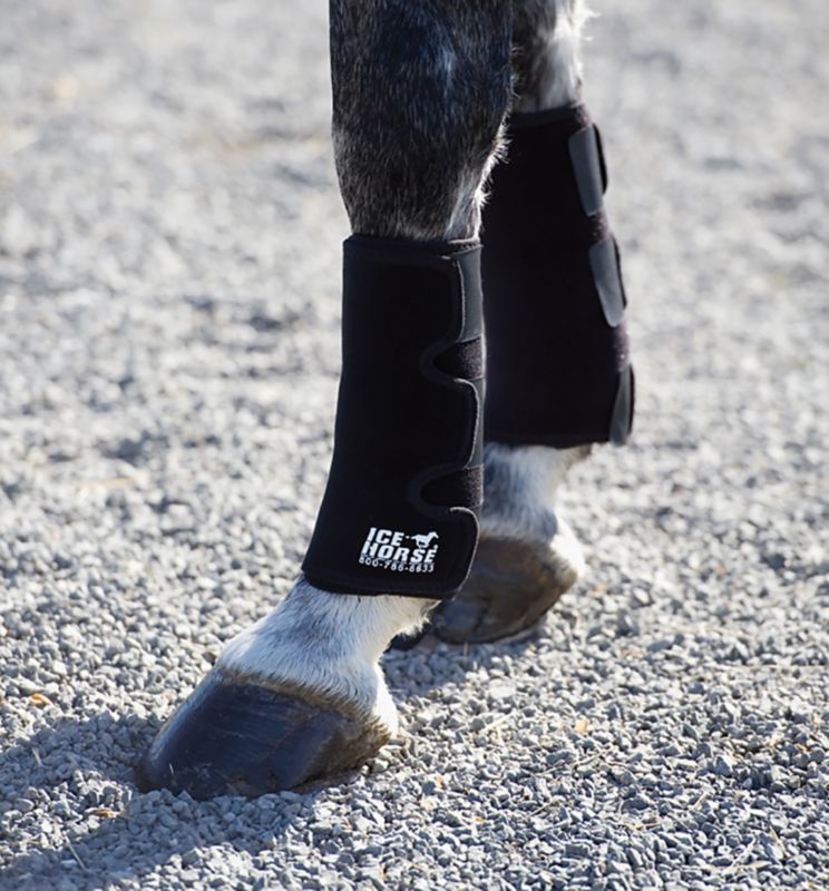ice horse boots
