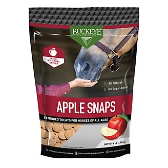 All Natural No Sugar Added Apple Snaps