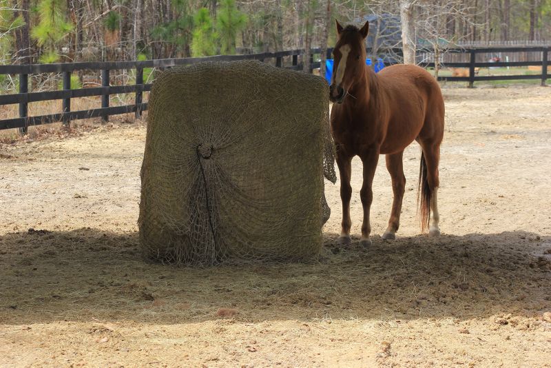 Freedom Feeder Round Bale Hay Net Statelinetack Com