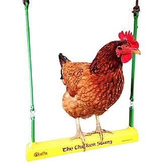 The Chicken Swing