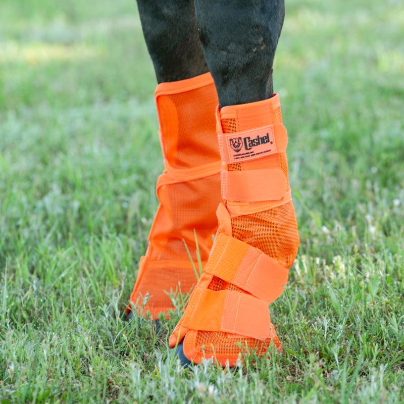 Fly leg wraps 2025 for horses