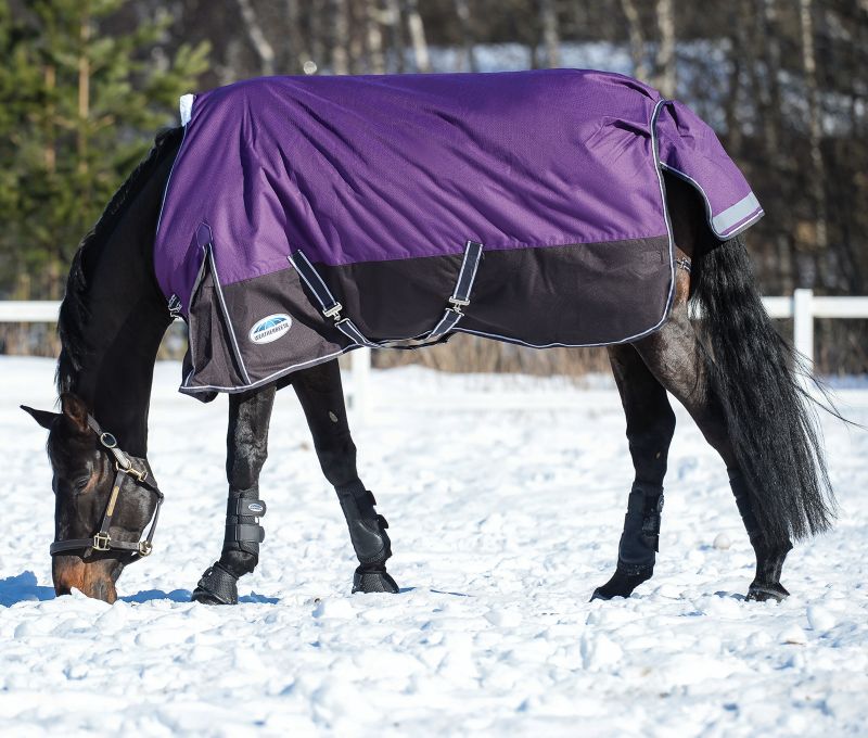 horse blankets on sale