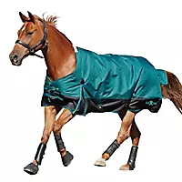 Exclusive Saxon Horse Turnout Blanket & Stable Blanket Set For